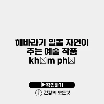 해바라기 일몰 자연이 주는 예술 작품 khám phá