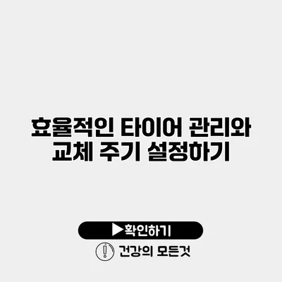 효율적인 타이어 관리와 교체 주기 설정하기